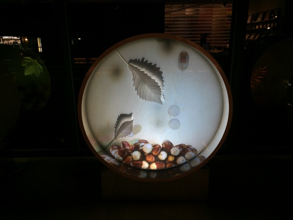 「今」を創る伝統画材ラボ PIGMENT “四季”