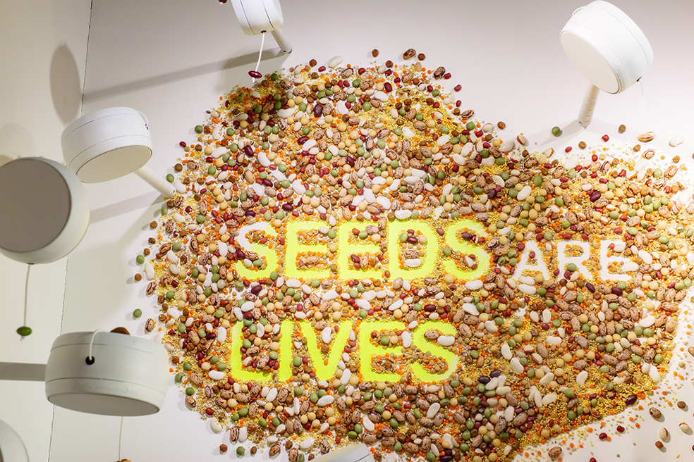 GINZA SIX Spring「SEEDS ARE LIVES」