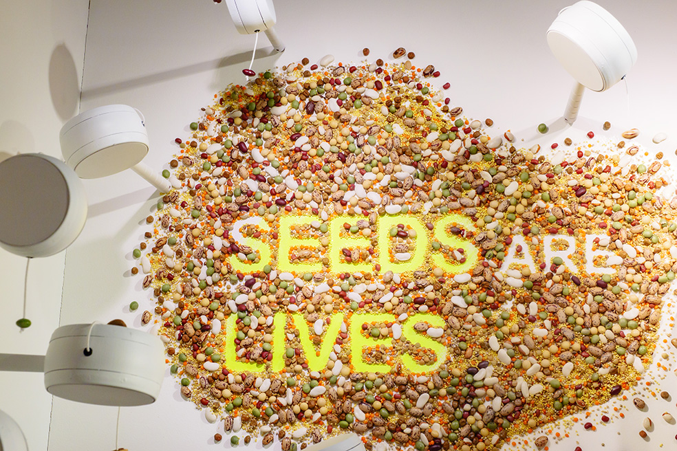 GINZA SIX 2024 Spring「SEEDS ARE LIVES」