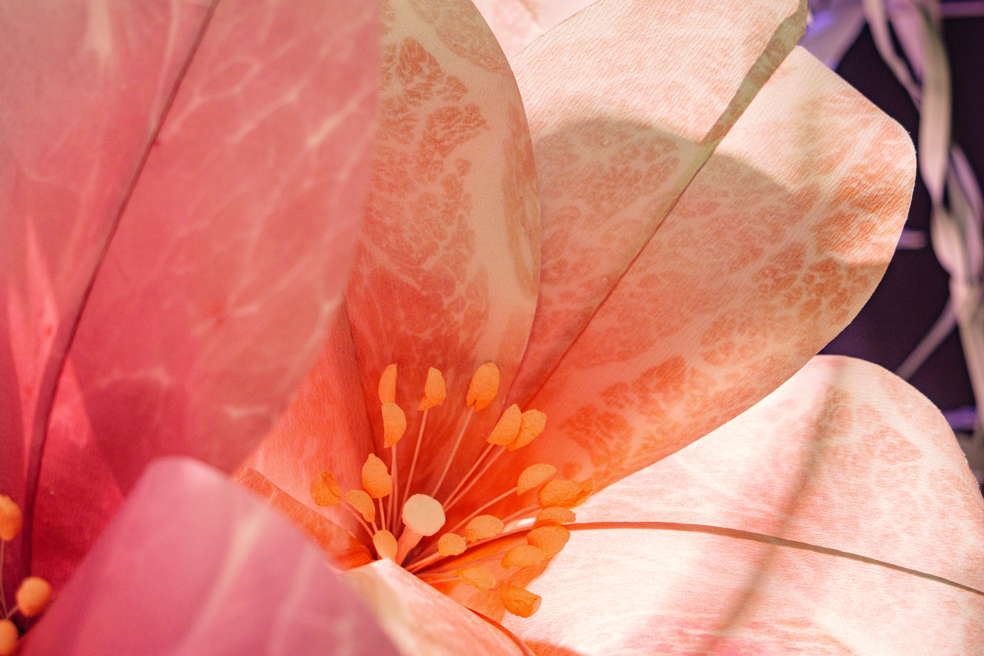 GINZA SIX 2025 Spring「Floral Feast」
