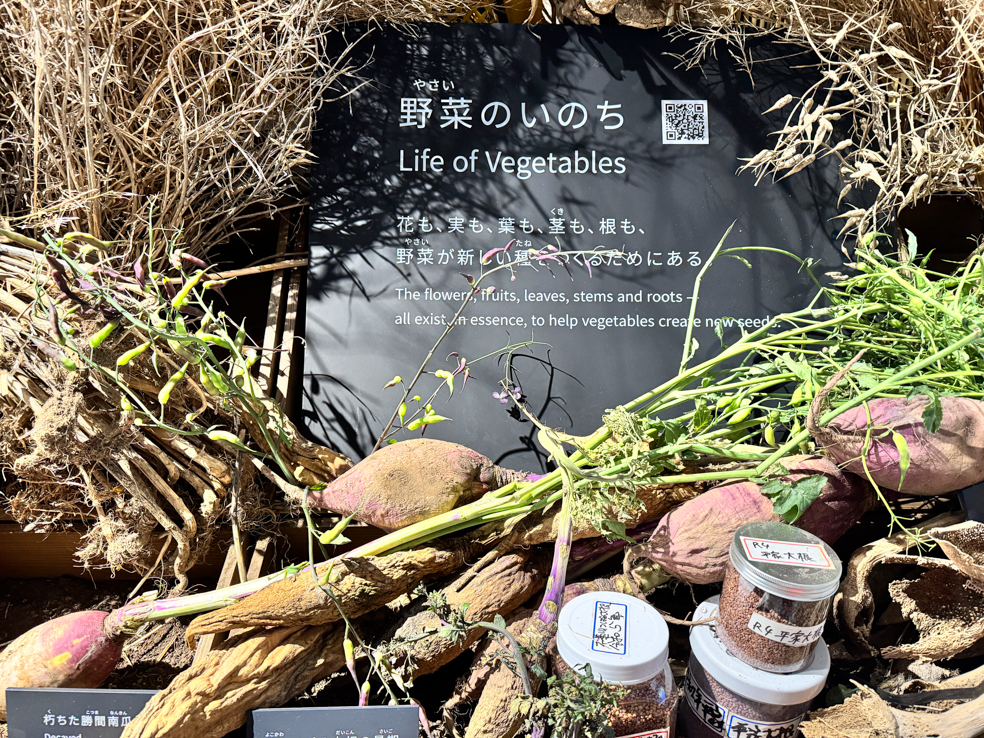 大阪・関西万博「EARTH MART」2_「野菜のいのち」