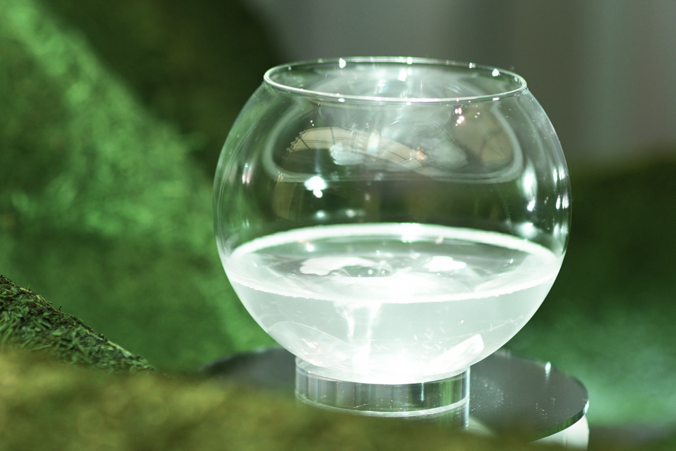 GINZA SIX 2025 Summer「香風茶景 – Where Tea Meets the Wind」