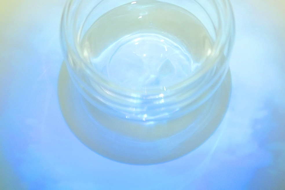 GINZA SIX 2025 Summer「香風茶景 – Where Tea Meets the Wind」